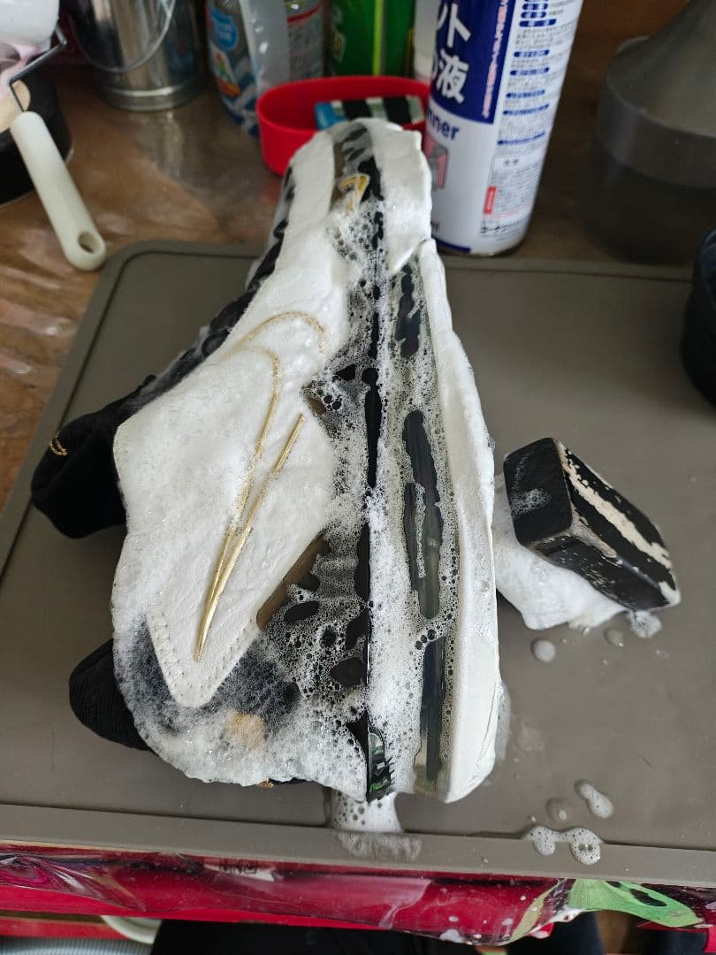 NIKE レブロン17 Low 白金黒 28cm CD5007-101