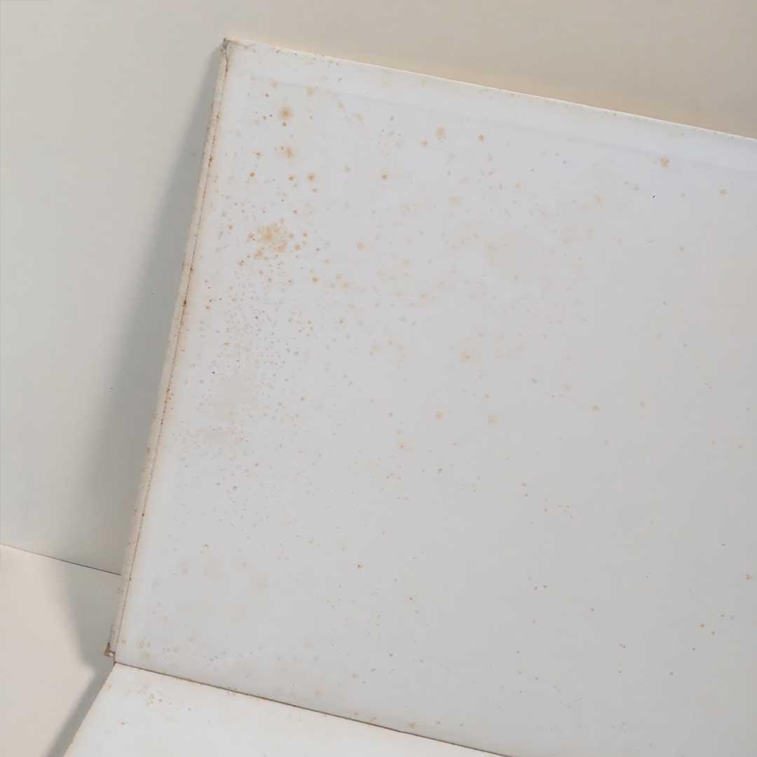 【希少・初版】深瀬昌久 遊戯 映像の現代4 Masahisa Fukase