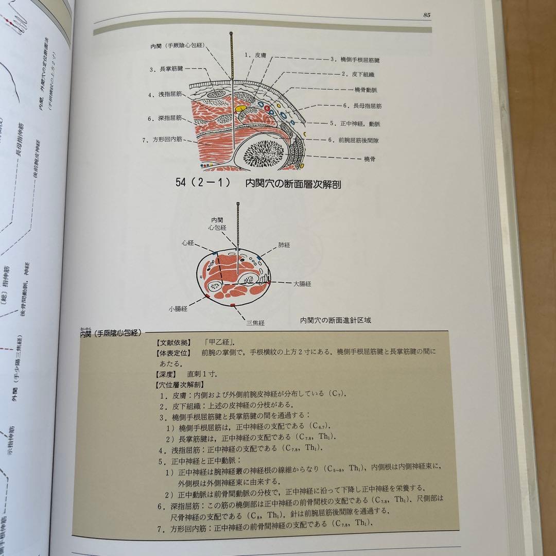 経穴断面解剖図解 上肢編