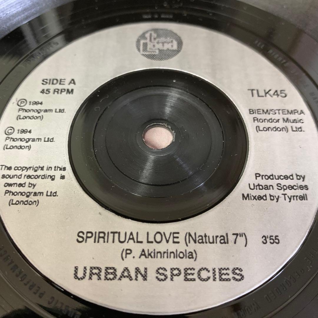 洋楽 Urban Species / Spiritual Love 7inch R&B