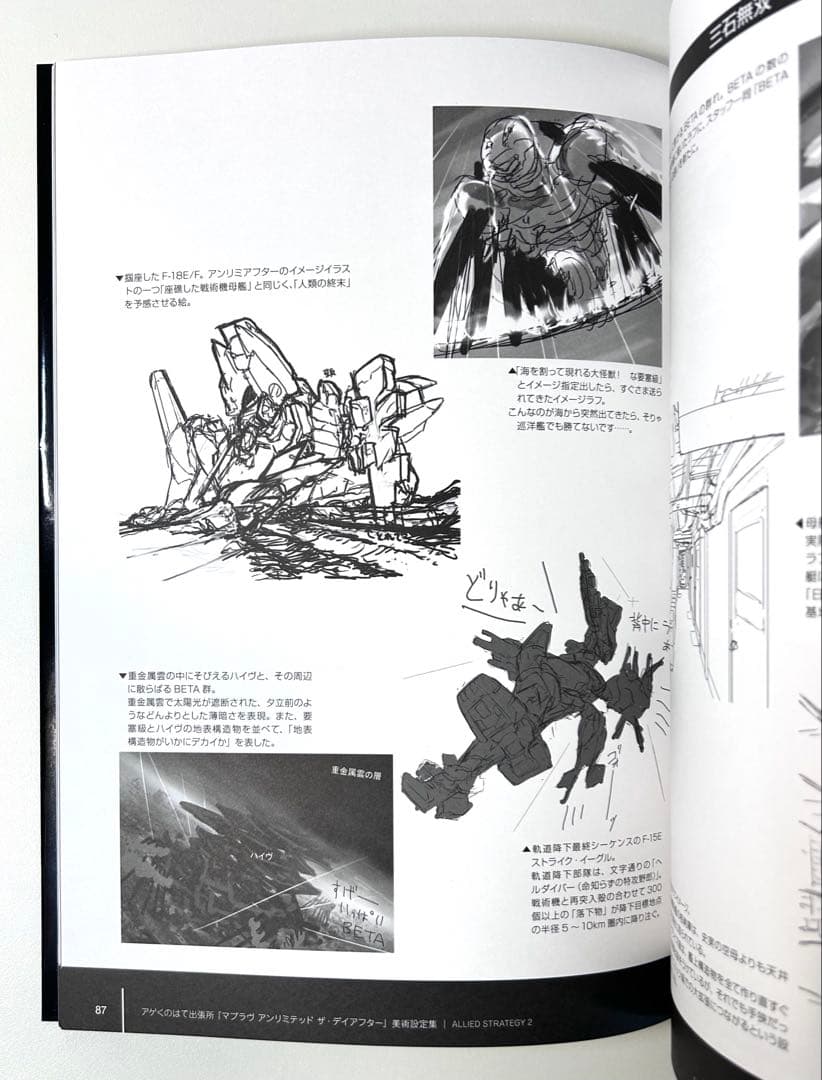 マブラヴ オルタネイティヴ ルナティック・ドーン 総集編　2冊セット