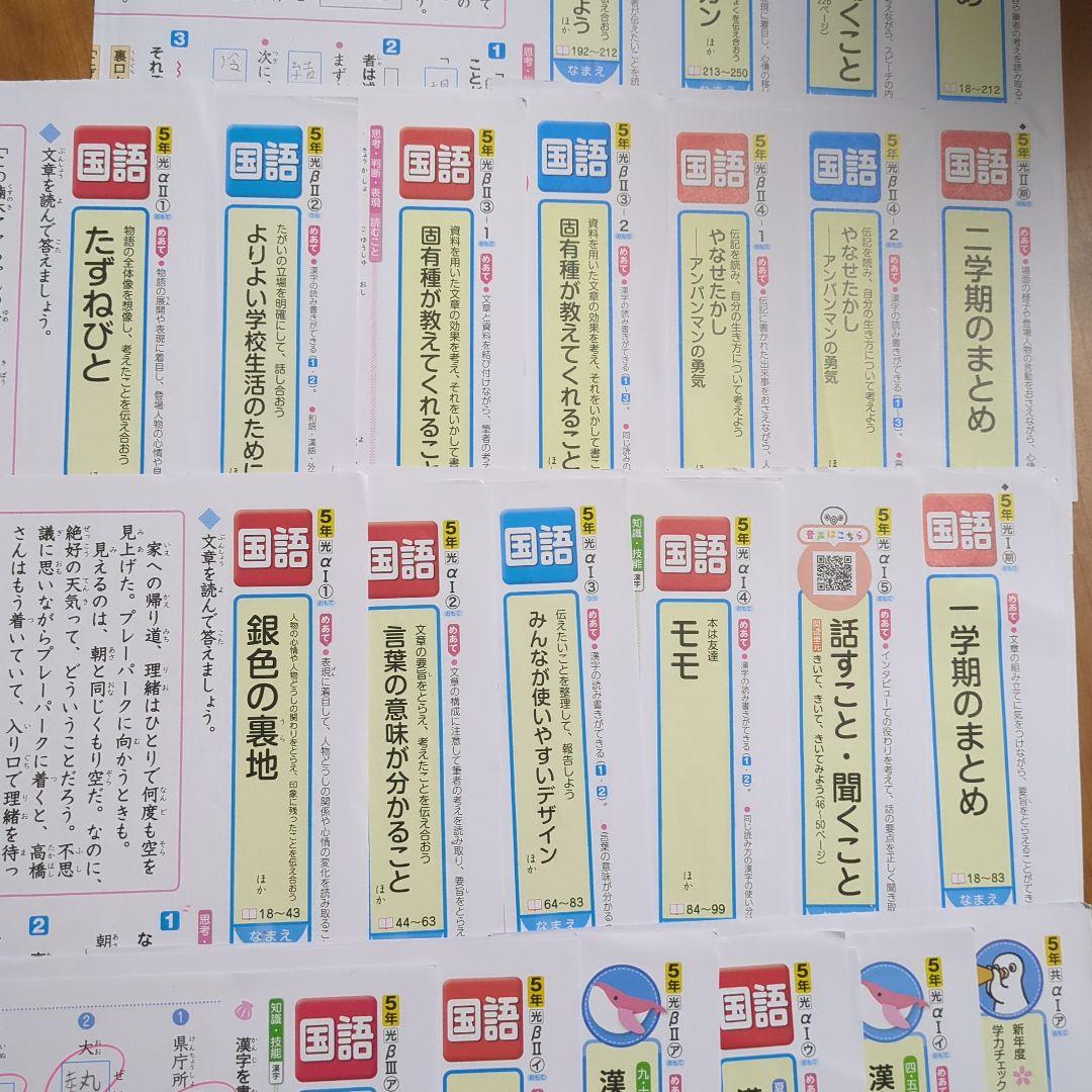 国語 5年生 カラーテスト　光村図書　正進社