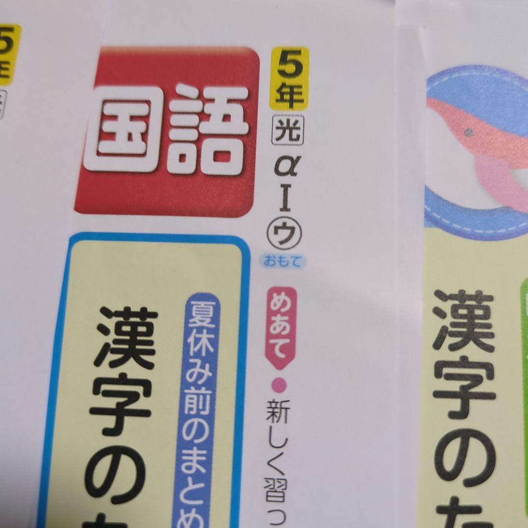 国語 5年生 カラーテスト　光村図書　正進社