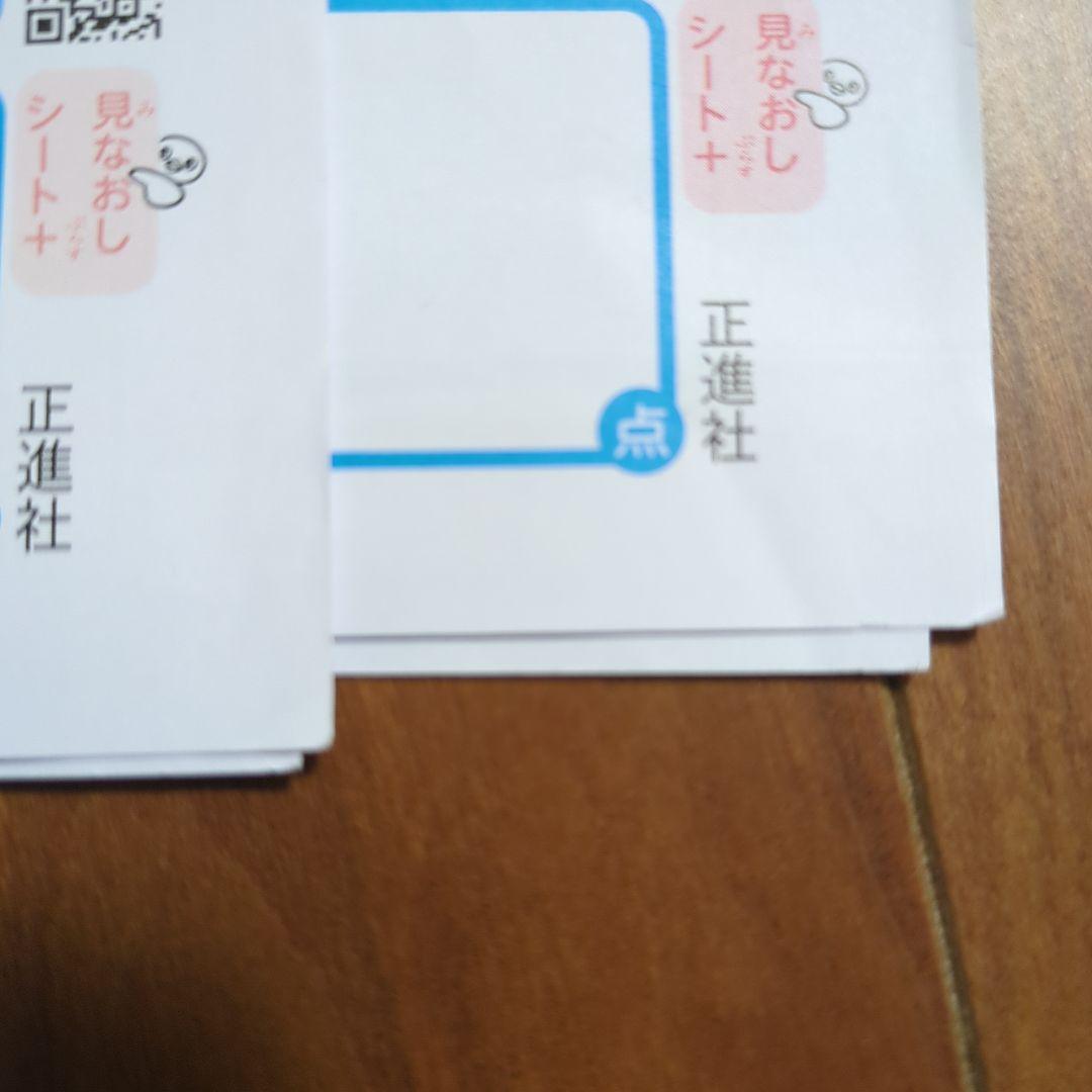 国語 5年生 カラーテスト　光村図書　正進社