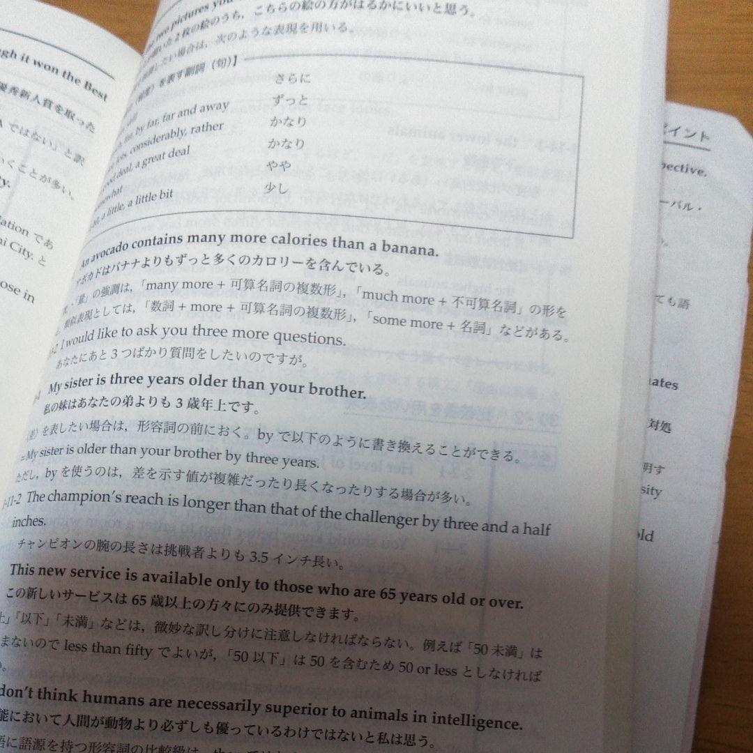 鉄緑会高3英語入試確認シリーズ