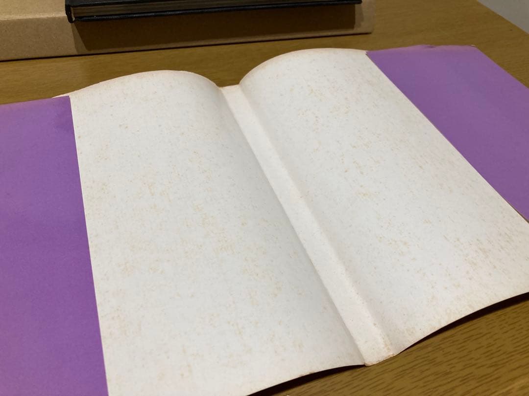 【中古】稲村隆正 踊り子 初版 写真集