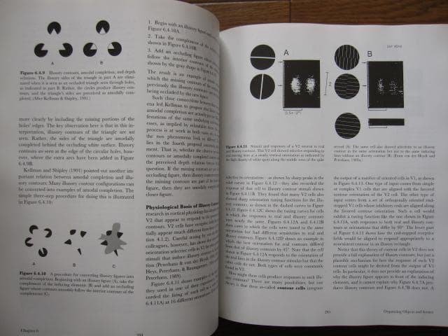 洋書 Vision Science / Stephen E. Palmer