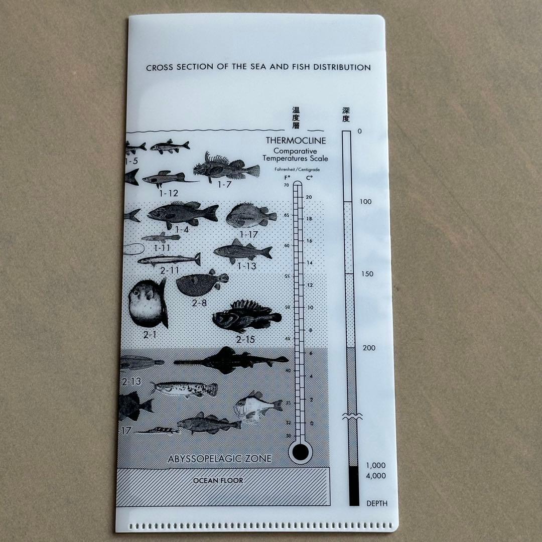 サカナクション 魚図鑑 (初回生産限定盤[2CD+魚図鑑+Blu-ray])