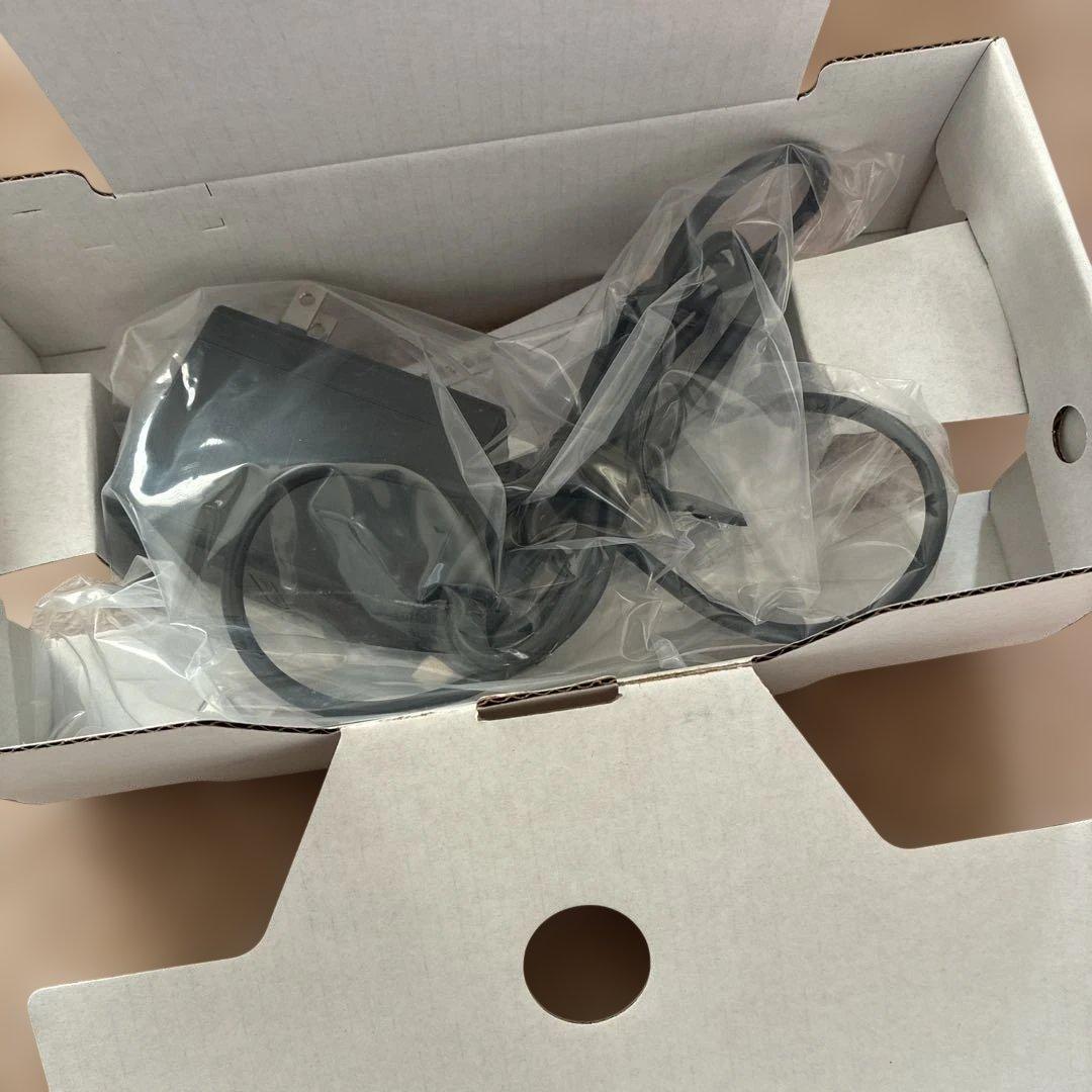 Nintendo Switch Lite ブルー 本体　充電器有　おまけ付き