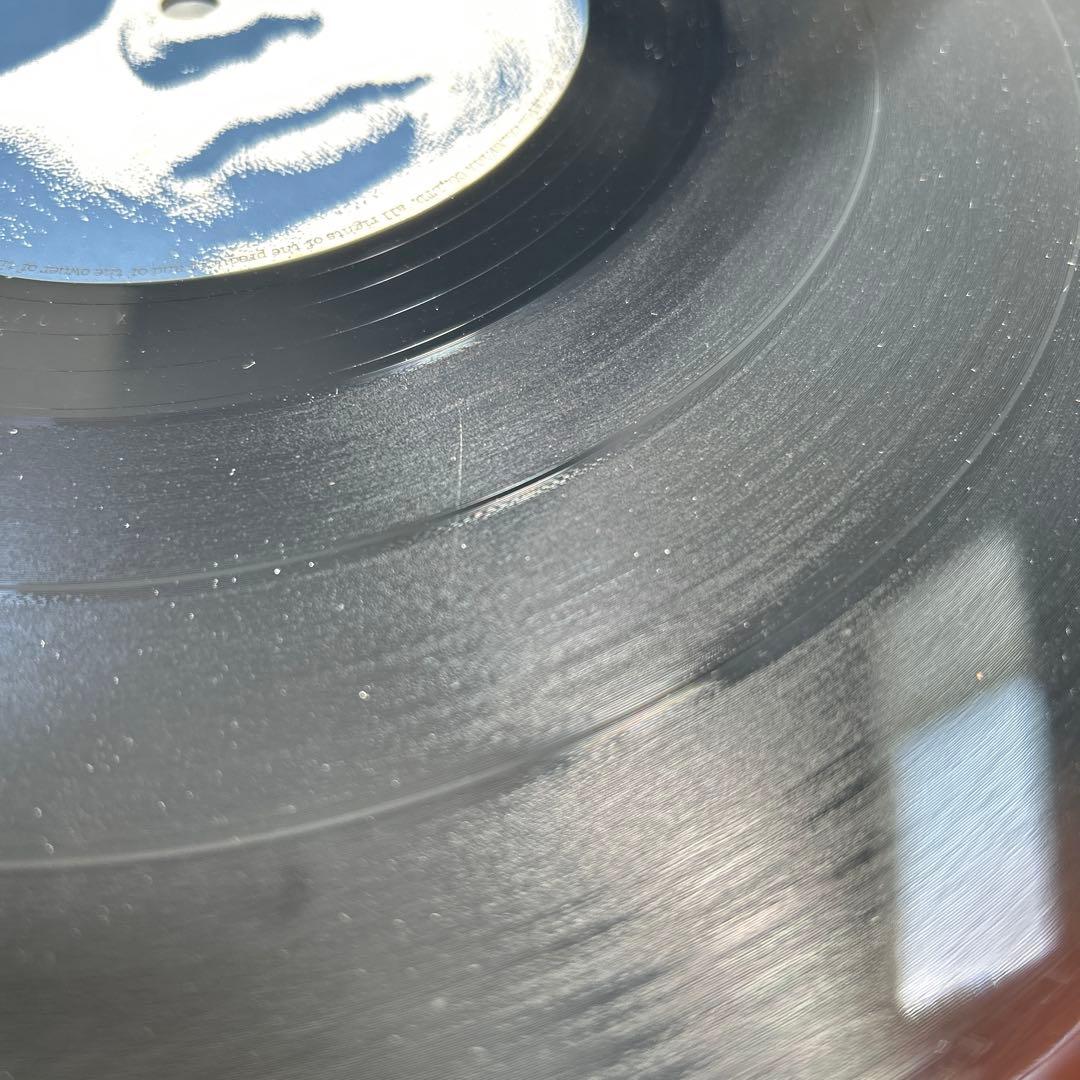 ミッシェルガンエレファント　ギャブルーズ　ランブル　アナログレコード2枚セット