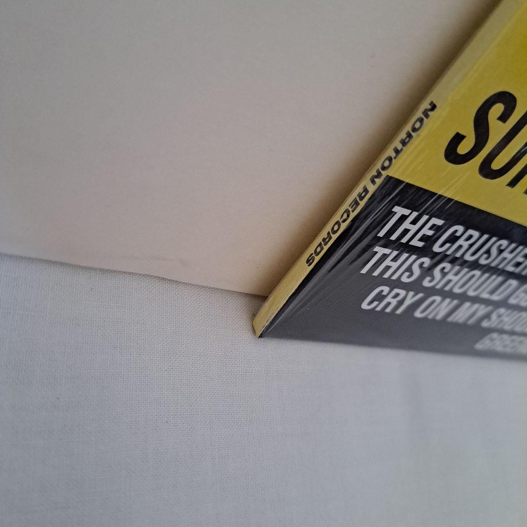 【名曲カバー ガレージパンク LP】King Usznewicz Cramps