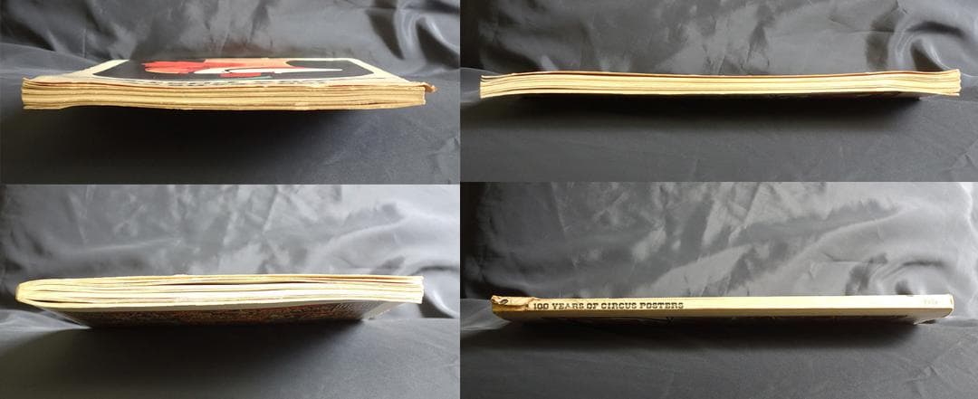 アート・デザイン・音楽 100 YEARS OF CIRCUS POSTERS