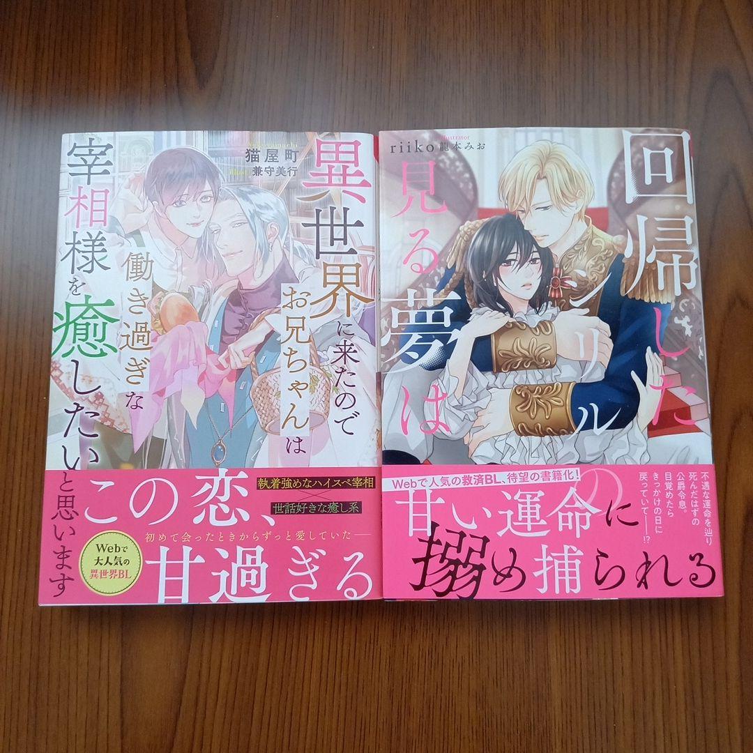 アンダルシュノベルスBLノベルまとめ売り13冊