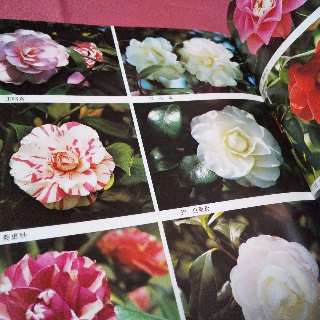 『ガーデンシリーズ ツバキとサザンカ その魅力と栽培』 第１版 誠文堂新光社