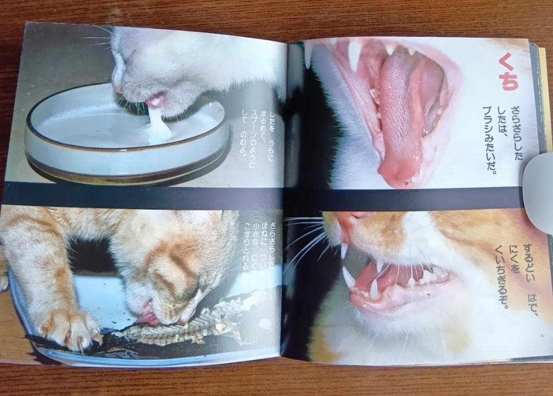 ねこ 小学館こども文庫　科学シリーズ　⑨ (1982年)