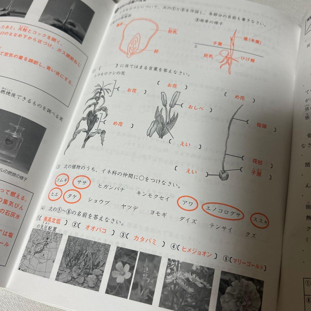 ㉑ＡA レア書き込みなし　サマーサピックス　SAPIX 5年　理科　テキスト