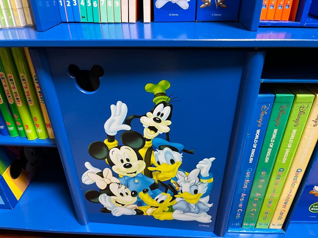 ワールドファミリー　ディズニーDWE セット