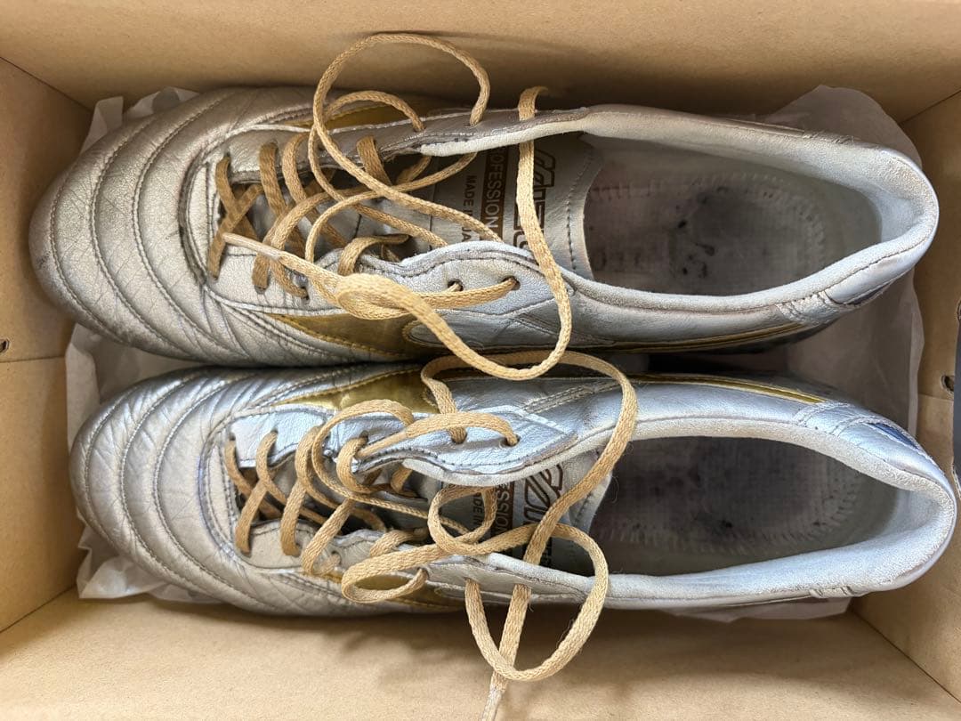 【値下げ可】モレリア DNA