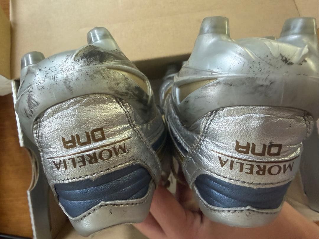 【値下げ可】モレリア DNA