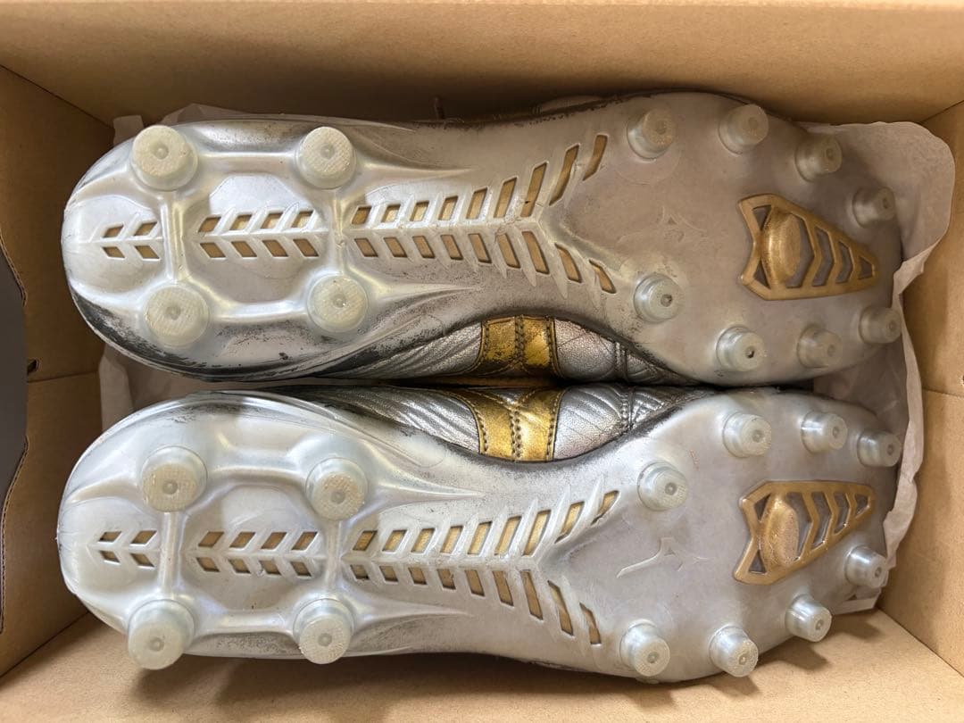 【値下げ可】モレリア DNA