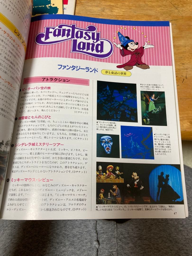 当時物　激レア　東京ディズニーランド　本　9冊セット　1993年〜2013年