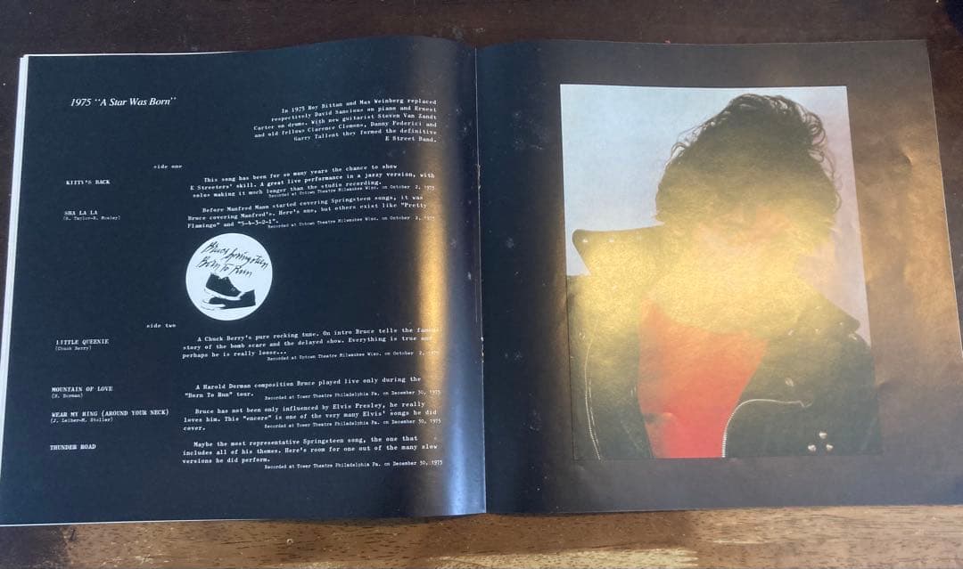 ◾️史上最高アイテム/究極10LPボックス■BRUCE SPRINGSTEEN /