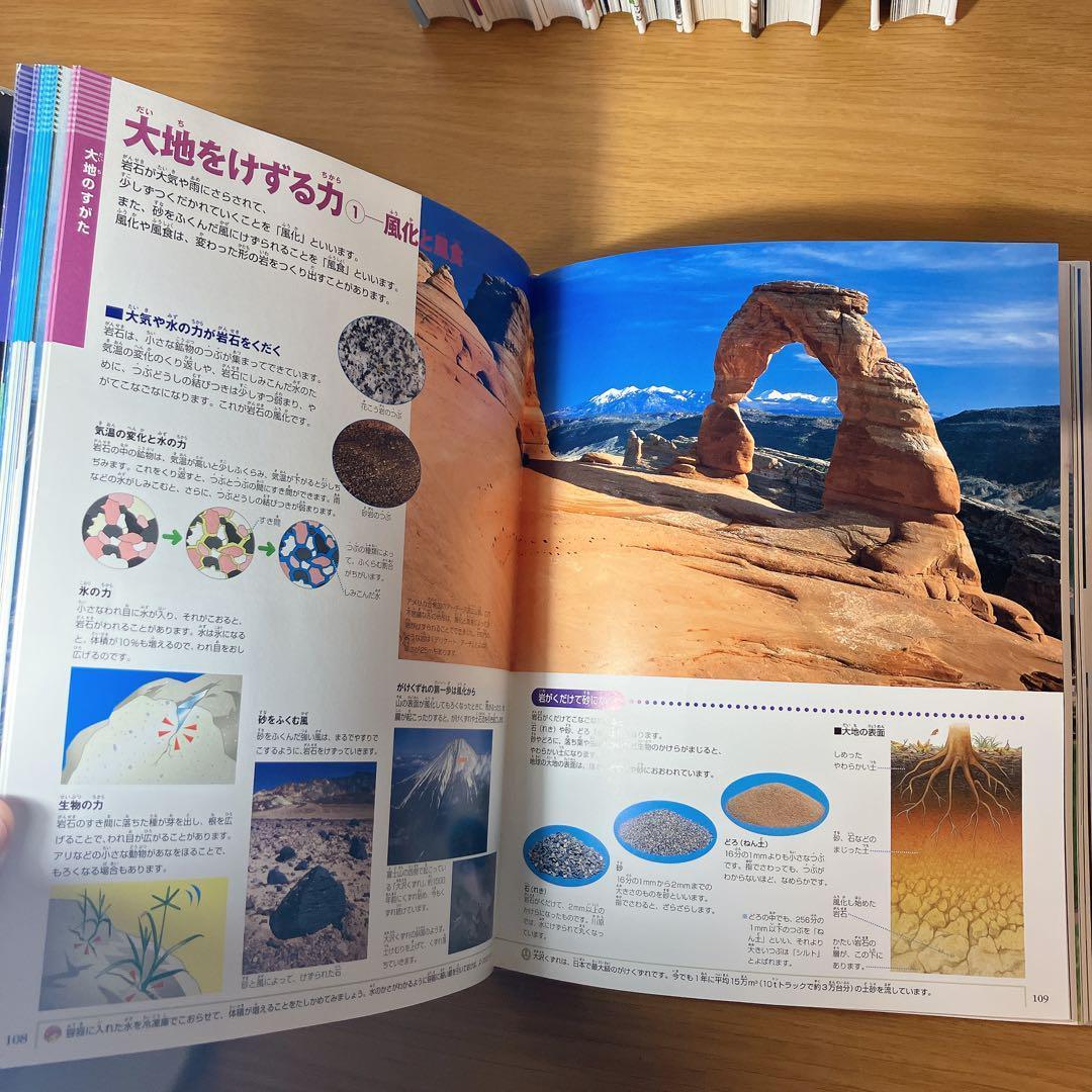 小学館の図鑑　NEO NEO➕9冊　と図鑑3冊　合計12冊セット