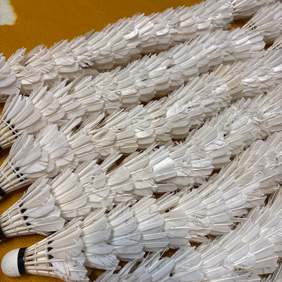 バドミントン　シャトル ノック用　225球セット　ヨネックス　ゴーセン