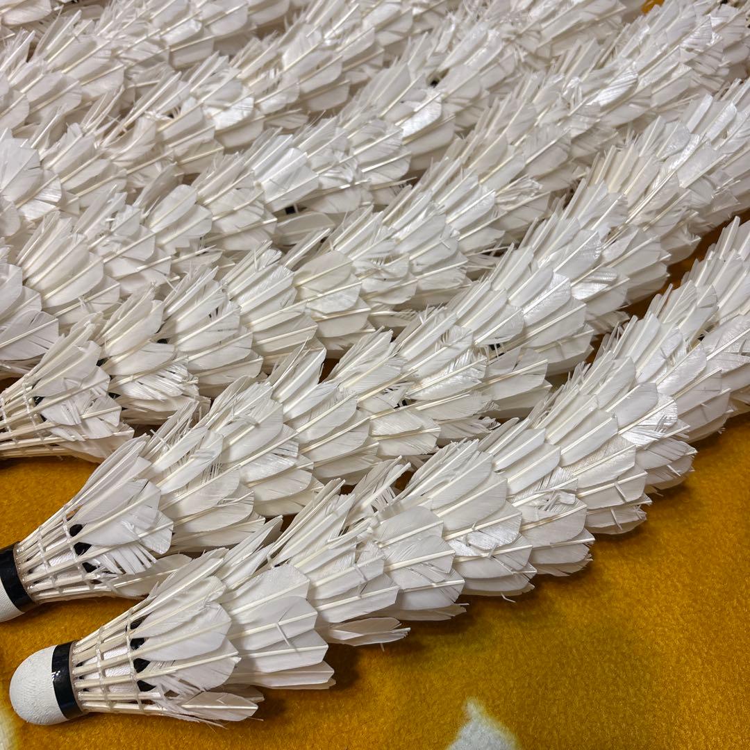 バドミントン　シャトル ノック用　225球セット　ヨネックス　ゴーセン