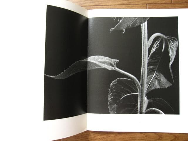 HANA　石元泰博　Yasuhiro Ishimoto