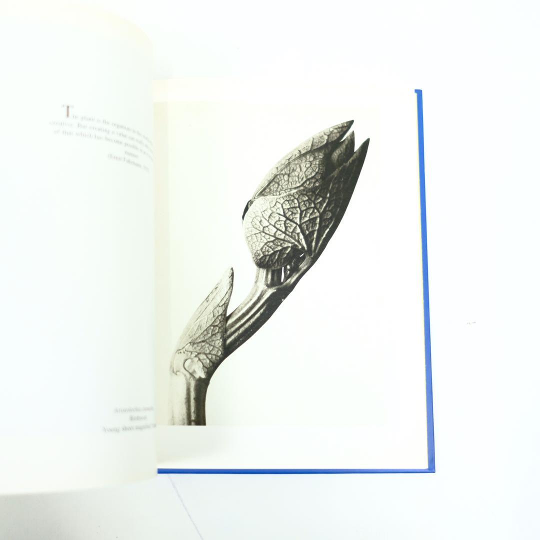 Karl Blossfeldt Taschen カール・ブロスフェルド　写真集
