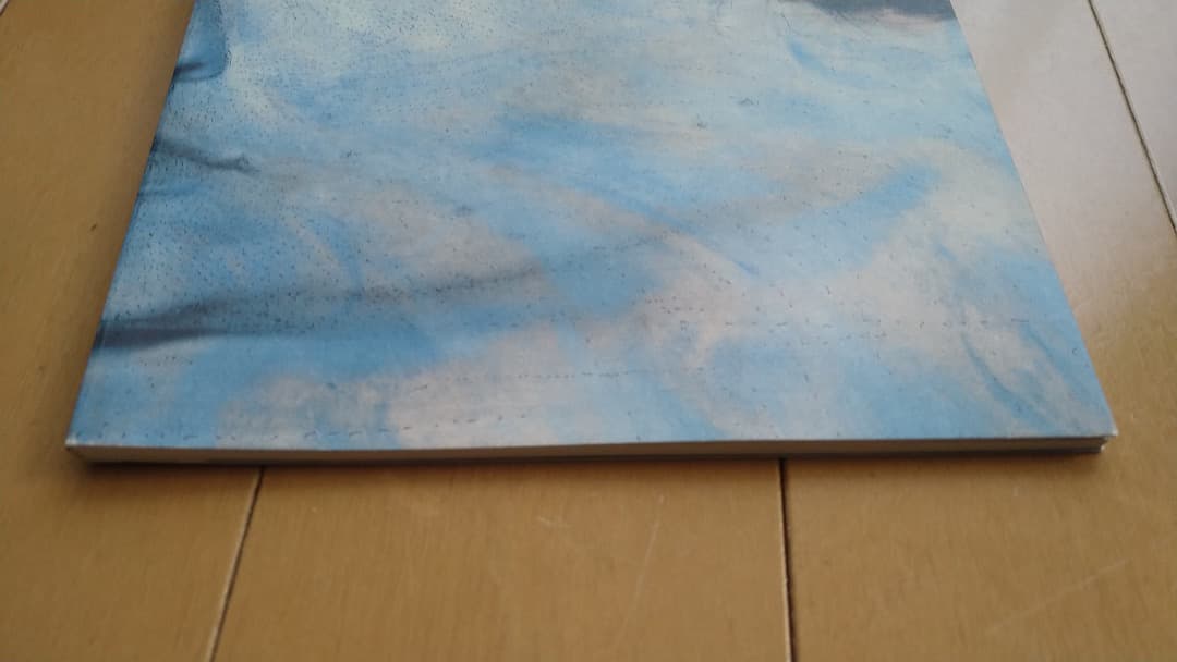 Kiki Smith キキ・スミス展のカタログ