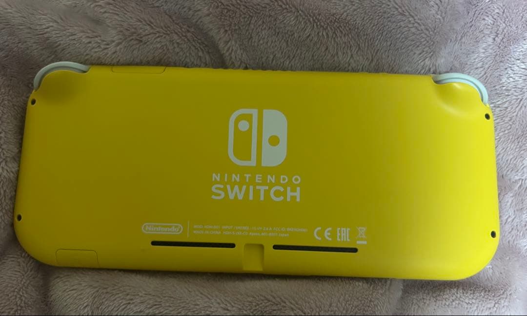 ジャンク Switchlight 箱無し