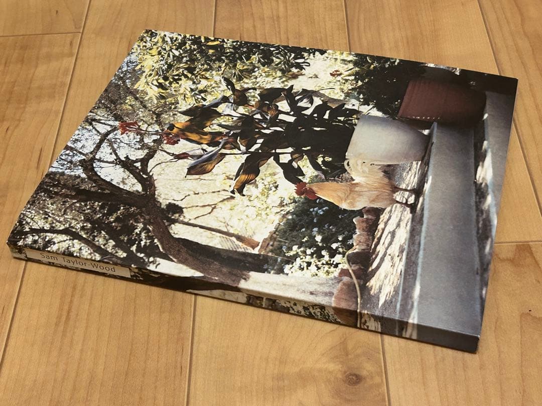 Sam Taylor-Wood アート写真集