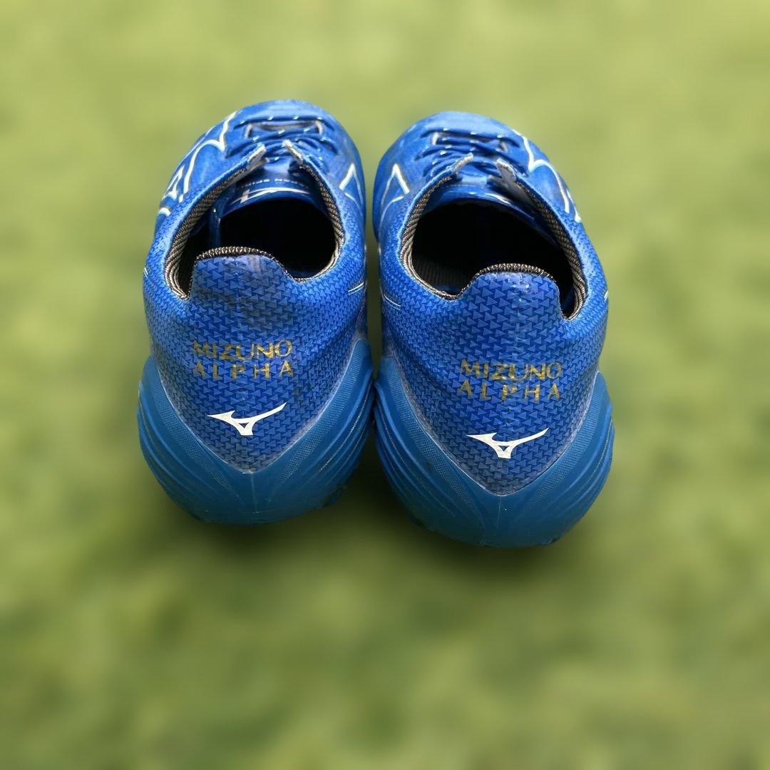 ミズノアルファジャパン