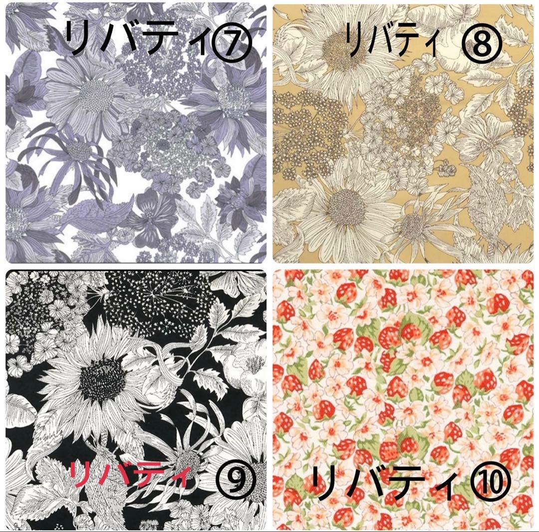 スーミンページエヴリンPMサイズバッグインバッグ