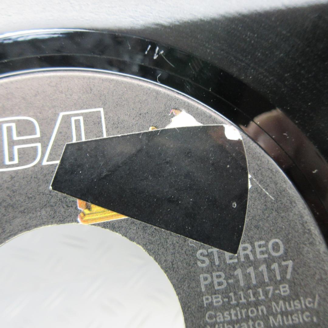 s*g様 ★THE TRUMAINS / RIPE FOR THE PICKIN