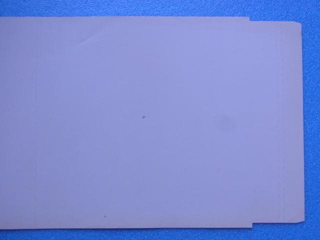 非売品　セクシーパロディウス　プレイステーション　ダミージャケット　見本　PS