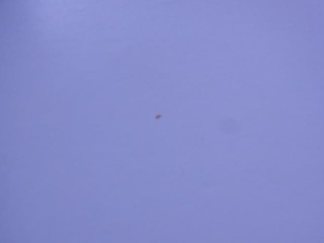 非売品　セクシーパロディウス　プレイステーション　ダミージャケット　見本　PS