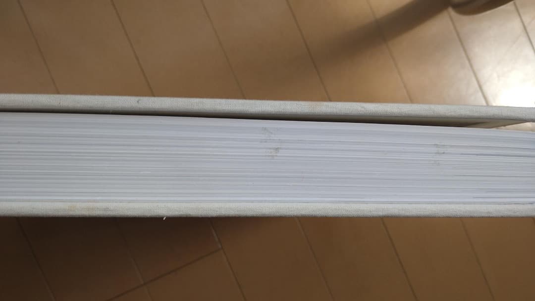 絶版本 Robert Ryman Phaidon ハードカバー