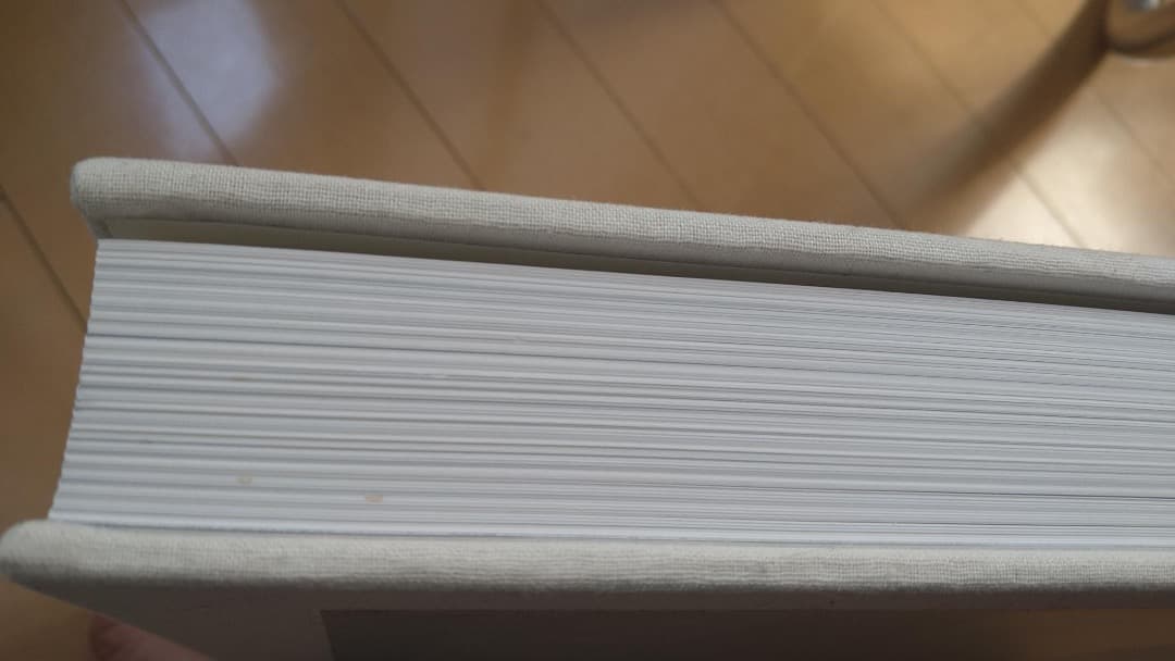 絶版本 Robert Ryman Phaidon ハードカバー