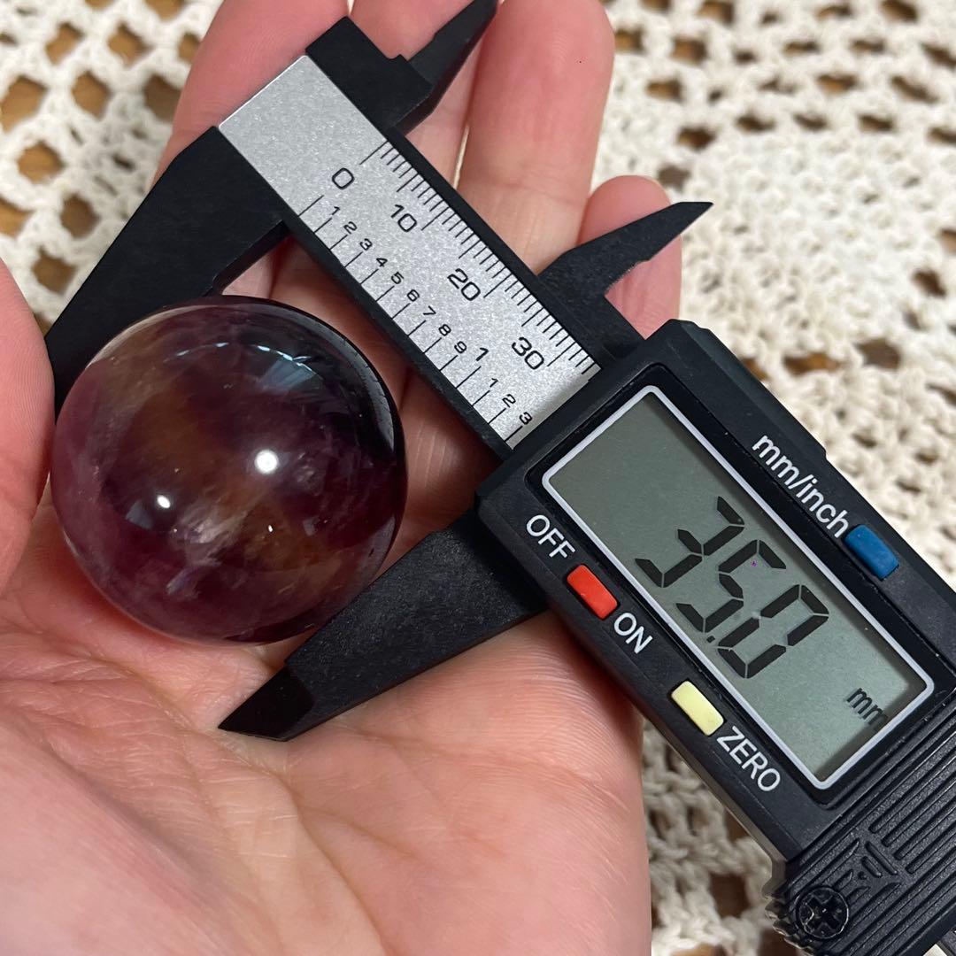 【台座販売】タツノオトシゴ　ゴールド2 シルバー4