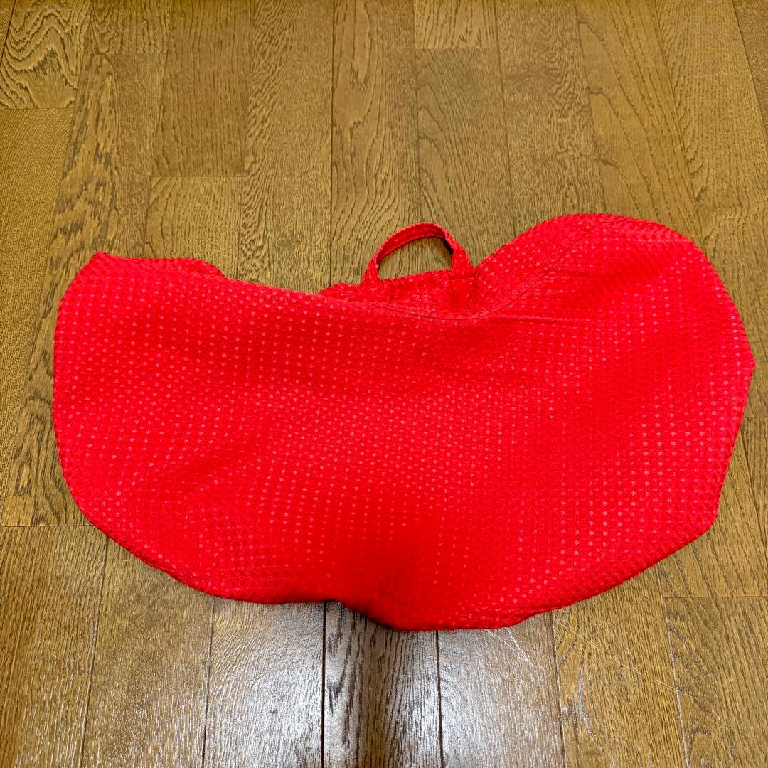 【美品】サカモトハウス バランスイージー 赤 カバー付