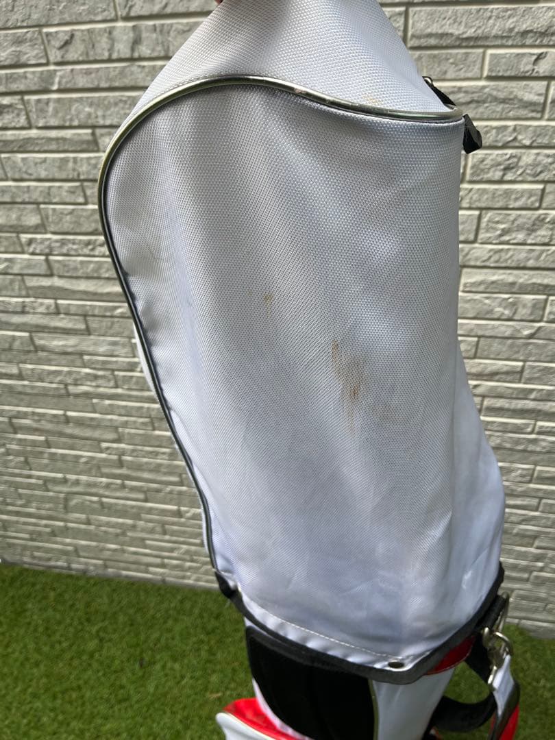 ワールドイーグル F-01α Rフレックス 10本セット＋スリクソンドライバー