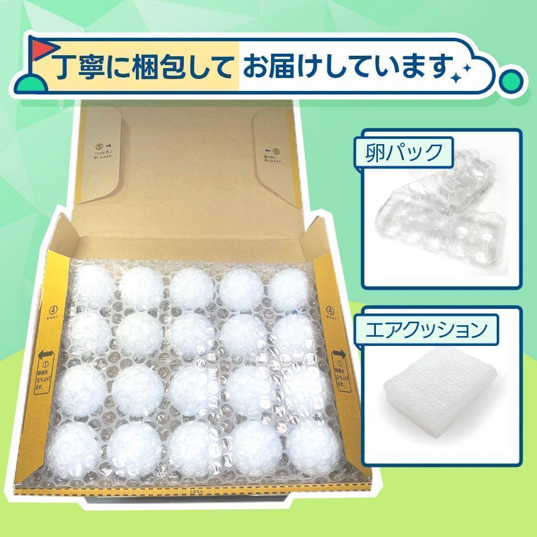 ロストボール タイトリスト PRO V1 Aランク 20球 3 おまけティ付