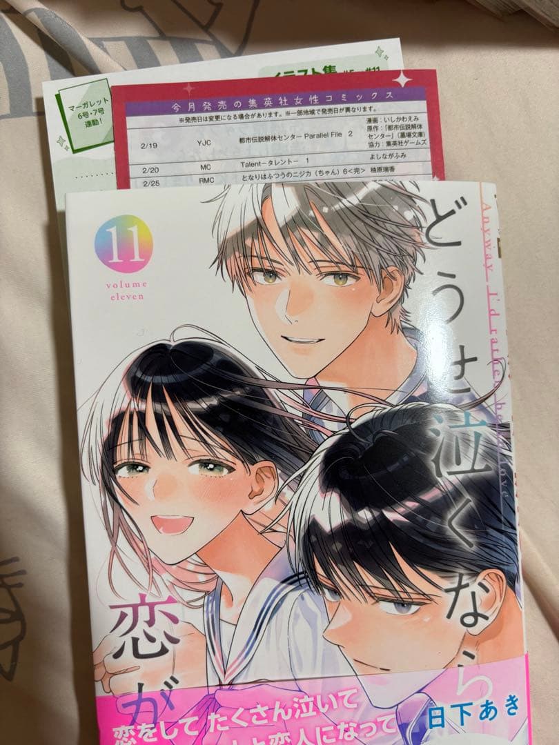 バラ売り不可　どうせ泣くなら恋がいい 全11巻　初版帯付き　特典付き