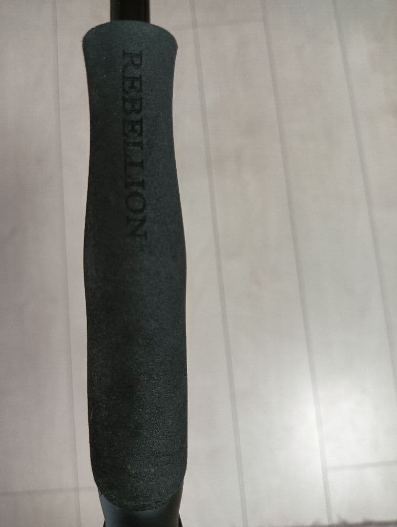 ダイワ リベリオン バスロッド 662ML/LFS DAIWA