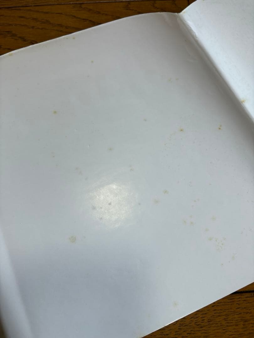 ロバートベイトマン画集【BIRDS】 洋書・野鳥画