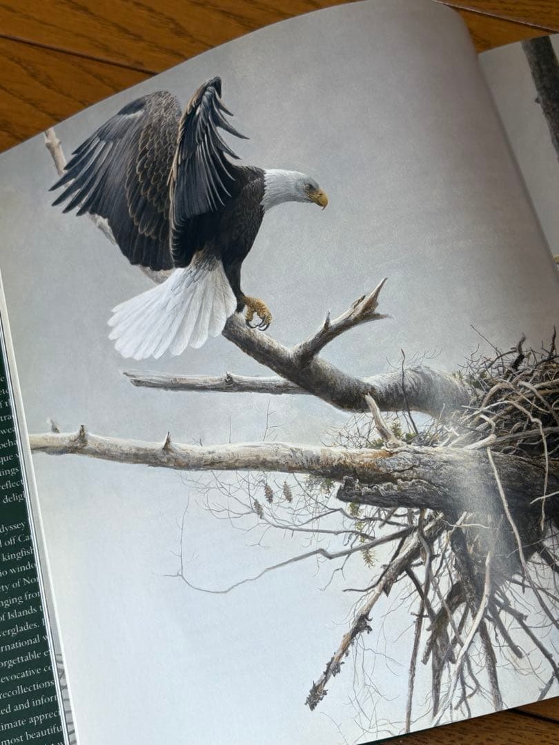 ロバートベイトマン画集【BIRDS】 洋書・野鳥画