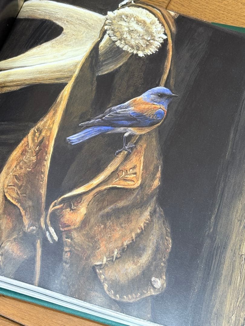 ロバートベイトマン画集【BIRDS】 洋書・野鳥画